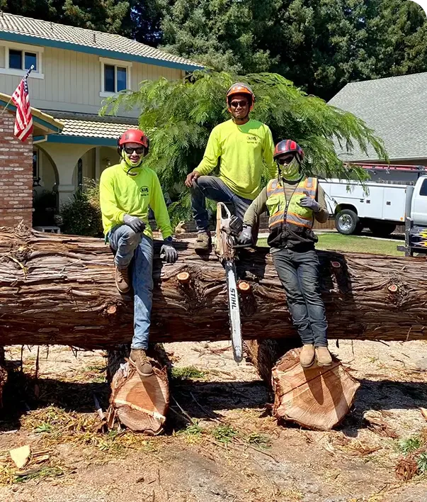 Financing for Tree Services