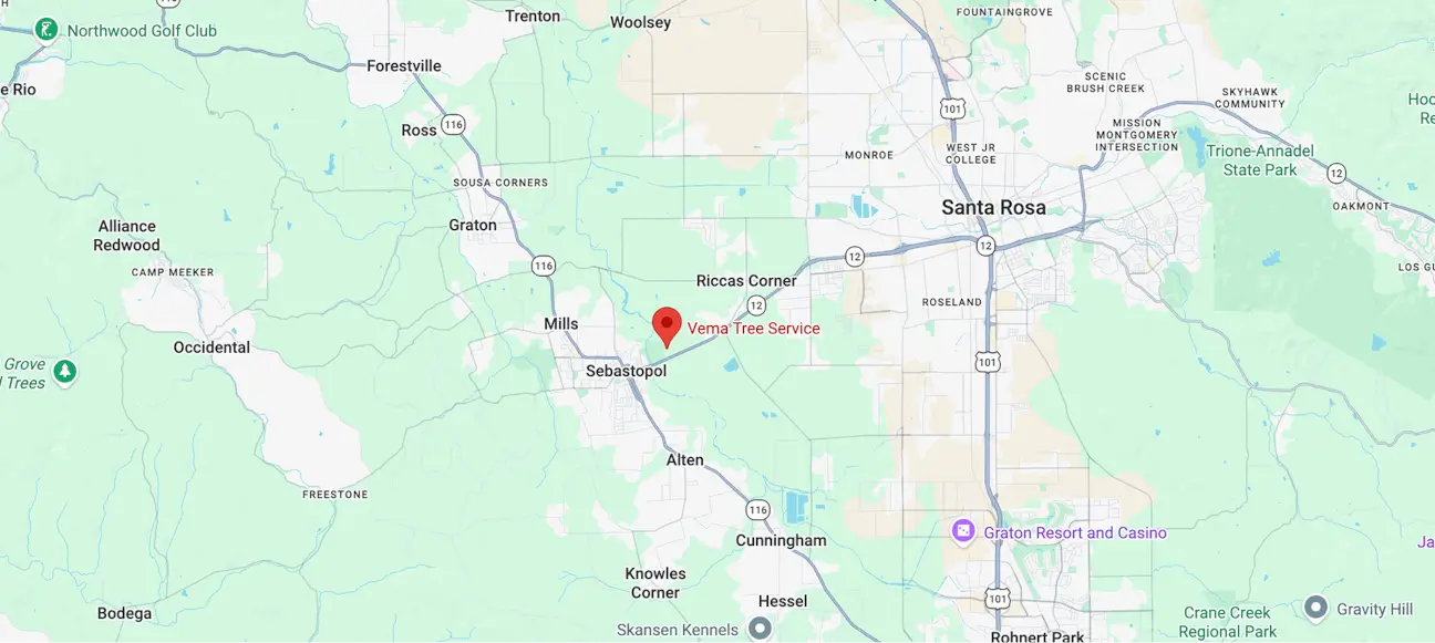 Vema location map