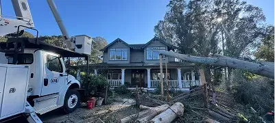 Emergency tree removal after storm damage in Napa