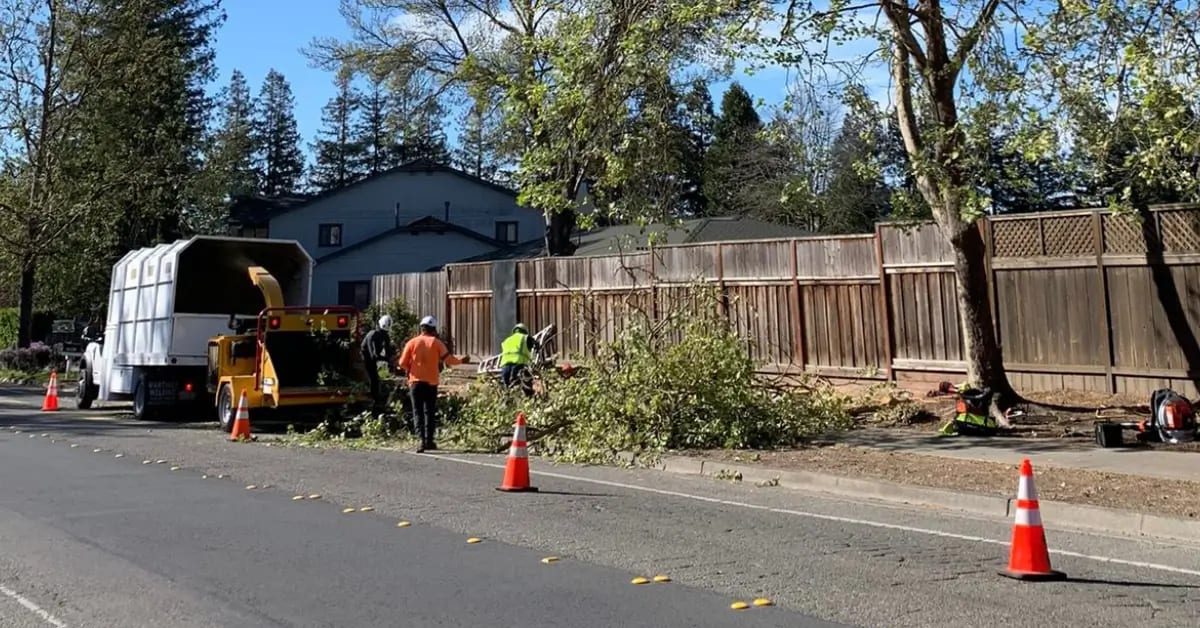 Utility Line Clearance